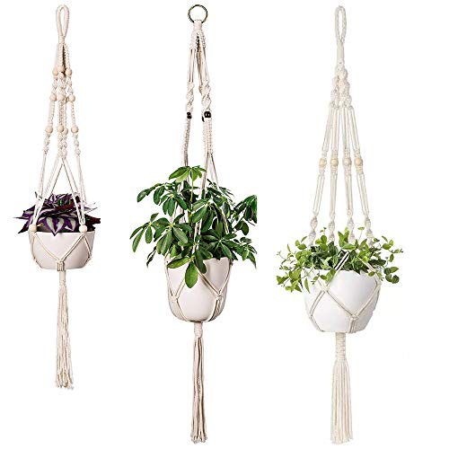 吊り鉢 花の人気商品 通販 価格比較 価格 Com 吊り鉢 花の人気商品 通販 価格比較 価格 Com