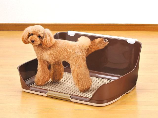 犬 トイレ トレー オス 犬用品の人気商品 通販 価格比較 価格 Com