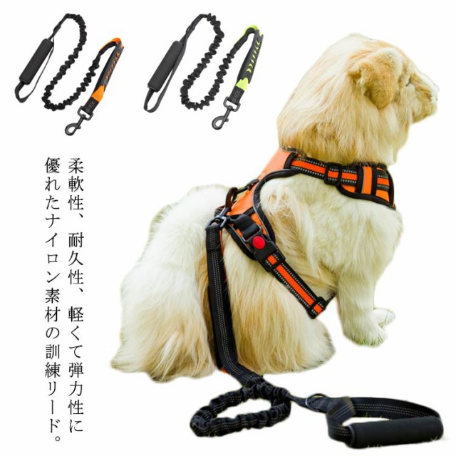 大型犬リード 犬用首輪の人気商品 通販 価格比較 価格 Com