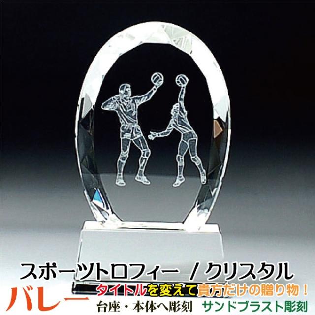 バレーボール 名入れ ホビーの人気商品 通販 価格比較 価格 Com