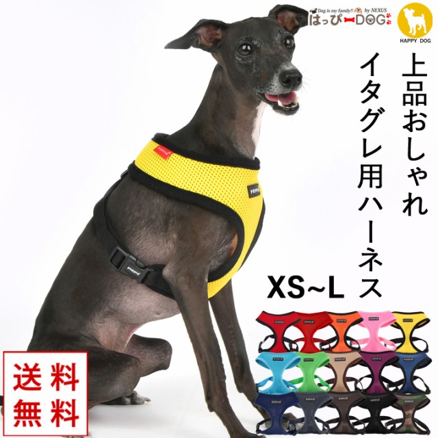 犬用首輪 リード ハーネス イタリアングレーハウンドの人気商品 通販 価格比較 価格 Com