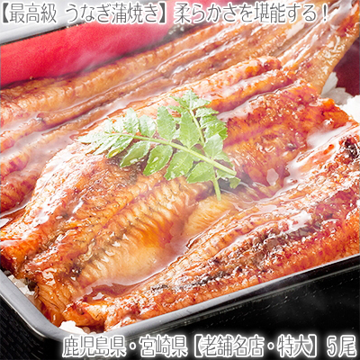 うなぎ 最高級の人気商品 通販 価格比較 価格 Com