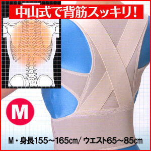 中山式 脊椎医学キョウセイベルトの通販 価格比較 価格 Com