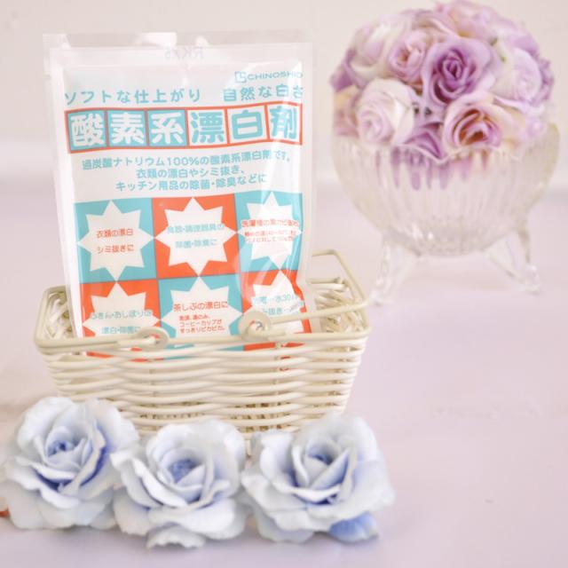 酸素系漂白剤 過炭酸ナトリウム100 の通販 価格比較 価格 Com