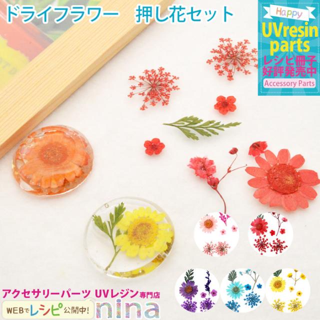 Uv クラフト レジン ドライフラワーの人気商品 通販 価格比較 価格 Com