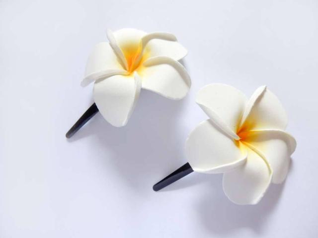 ハワイアン 髪飾りの人気商品 通販 価格比較 価格 Com
