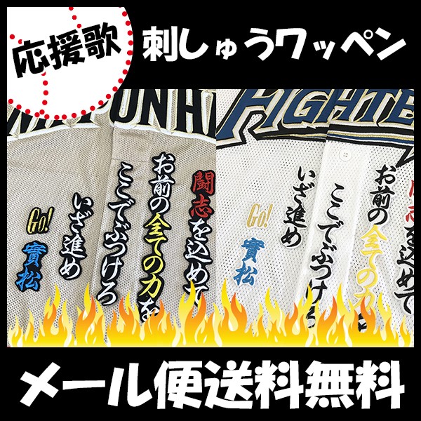 日本 ワッペン 野球用品の人気商品 通販 価格比較 価格 Com