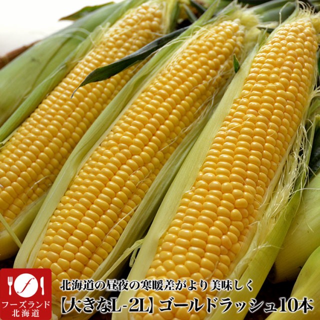 本 梱包 ビニール 食品の人気商品 通販 価格比較 価格 Com 本 梱包 ビニール 食品の人気商品 通販 価格比較 価格 Com