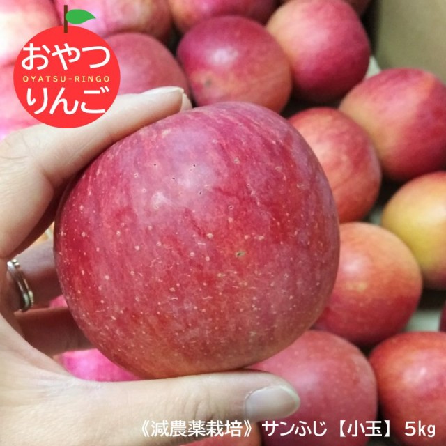 りんご 5kg 送料無料の通販 価格比較 価格 Com