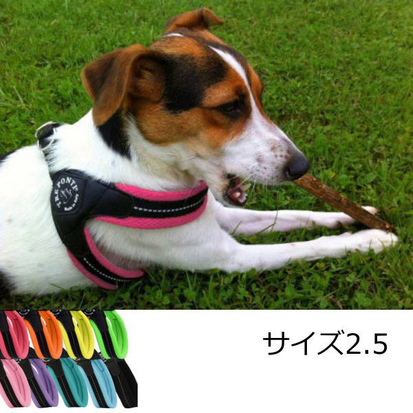 tre ponti dog harness