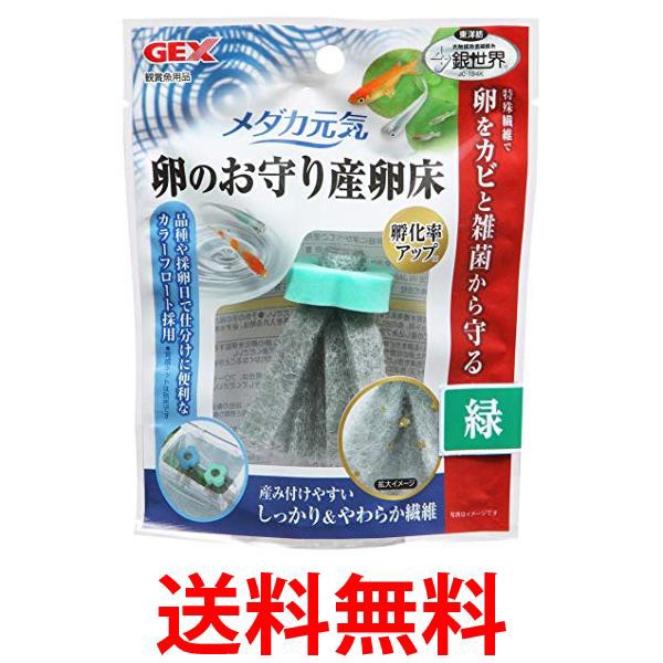 卵 緑 ペットの人気商品 通販 価格比較 価格 Com