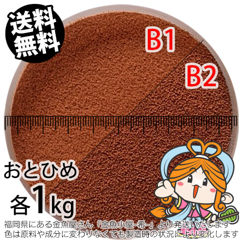 B2 おとひめ アクアリウム用 エサの人気商品 通販 価格比較 価格 Com