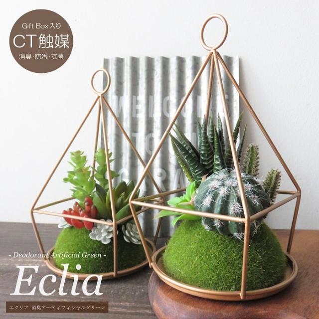 観葉植物 テラリウム Ct触媒 Diy 工具の人気商品 通販 価格比較 価格 Com