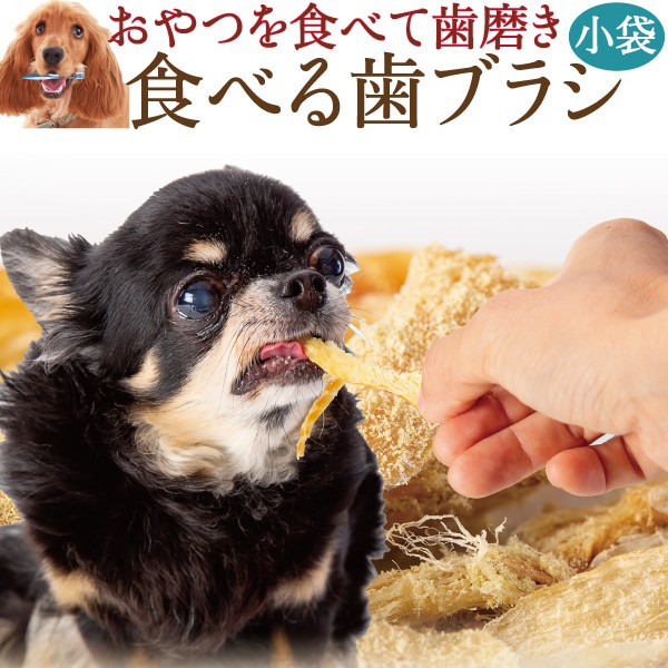 健康管理用品 歯磨き 犬の通販 価格比較 価格 Com