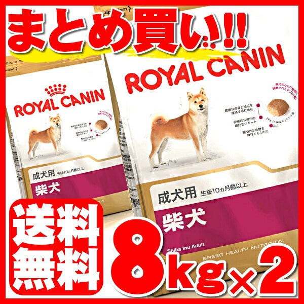 ロイヤルカナン柴犬成犬用8kg ×2個 - ペット用品