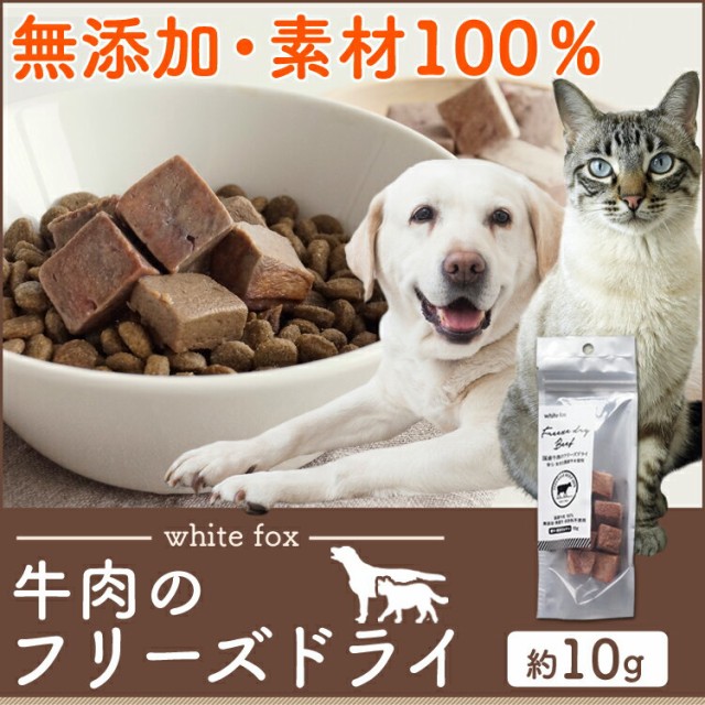 猫 おやつ 無添加 犬用健康管理用品の人気商品 通販 価格比較 価格 Com