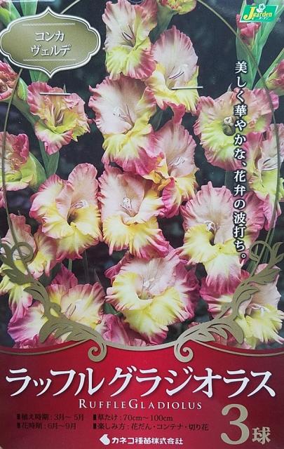 球根 寄せ植えの人気商品 通販 価格比較 価格 Com 球根 寄せ植えの人気商品 通販 価格比較 価格 Com