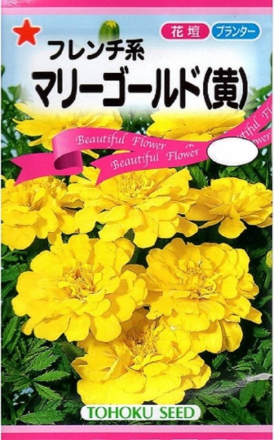 種 マリーゴールドの人気商品 通販 価格比較 価格 Com