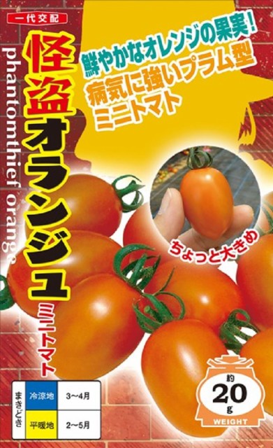 トマト 苗 花 種の人気商品 通販 価格比較 価格 Com