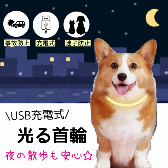 ランニング ライト 充電式 犬用首輪 リード ハーネスの人気商品 通販 価格比較 価格 Com