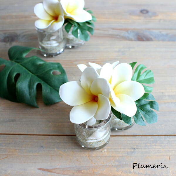 プルメリア アレンジの人気商品 通販 価格比較 価格 Com