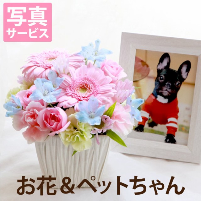 犬 お供え 花 生花の通販 価格比較 価格 Com