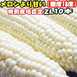 白 とうもろこし 生 その他の野菜 きのこの人気商品 通販 価格比較 価格 Com