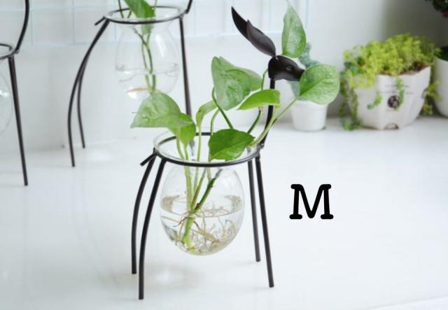 ガラス 水栽培 花瓶 通販 価格比較 価格 Com