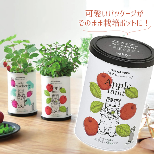 農業資材 ガーデニング用品 ミント 栽培 Diy 工具の人気商品 通販 価格比較 価格 Com