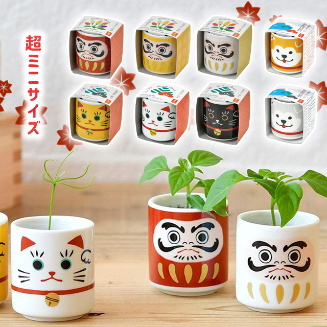 観葉植物 栽培キットの人気商品 通販 価格比較 価格 Com