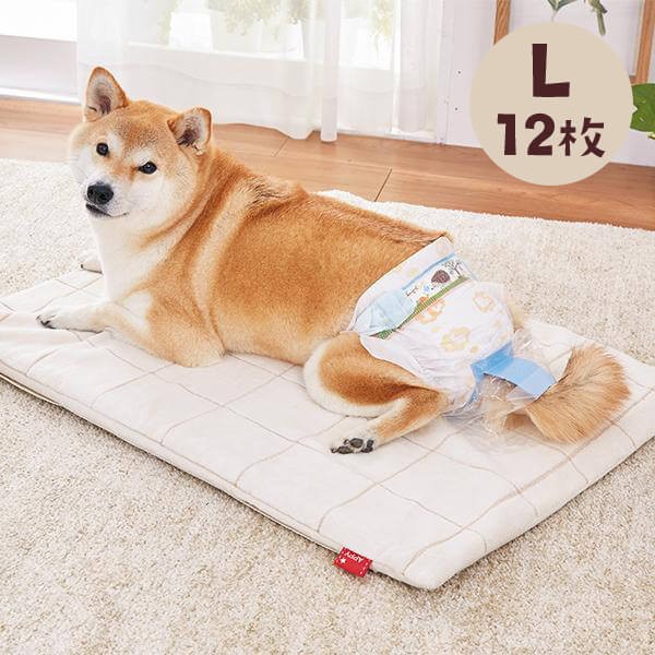 シニア 犬 トイレ 犬用衛生用品の人気商品 通販 価格比較 価格 Com