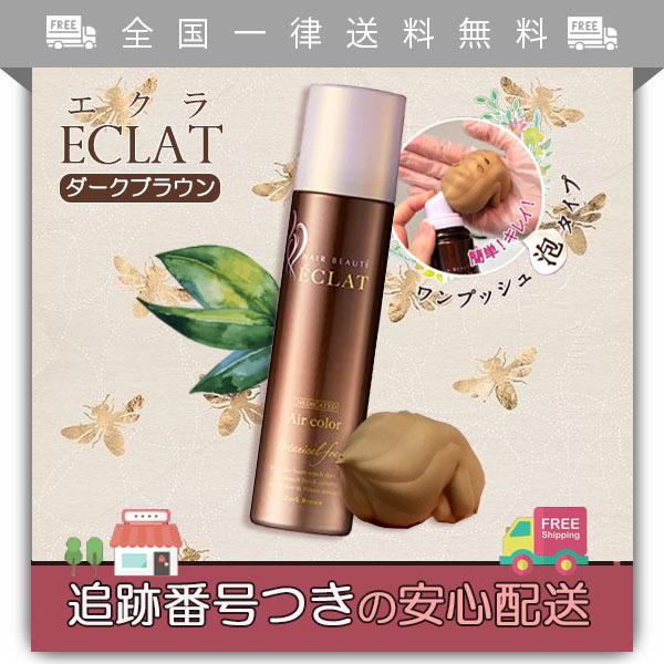 ボタニカルエアカラーフォーム ヘアカラー 通販 価格比較 価格 Com