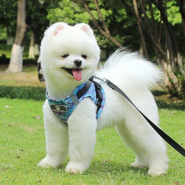 ハーネス 胴輪 大型犬 犬用リードの通販 価格比較 価格 Com