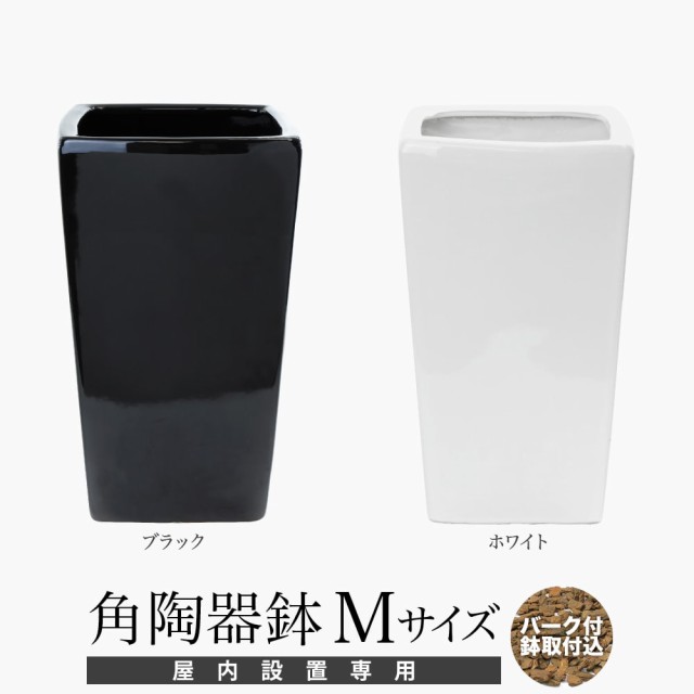 観葉植物 陶器鉢 鉢の人気商品 通販 価格比較 価格 Com