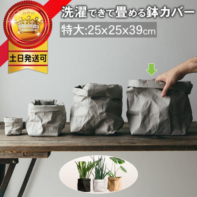 室内 観葉植物 大型 鉢の人気商品 通販 価格比較 価格 Com