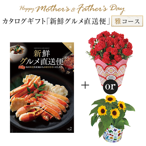 カタログギフト カーネーション 鉢植えの人気商品 通販 価格比較 価格 Com