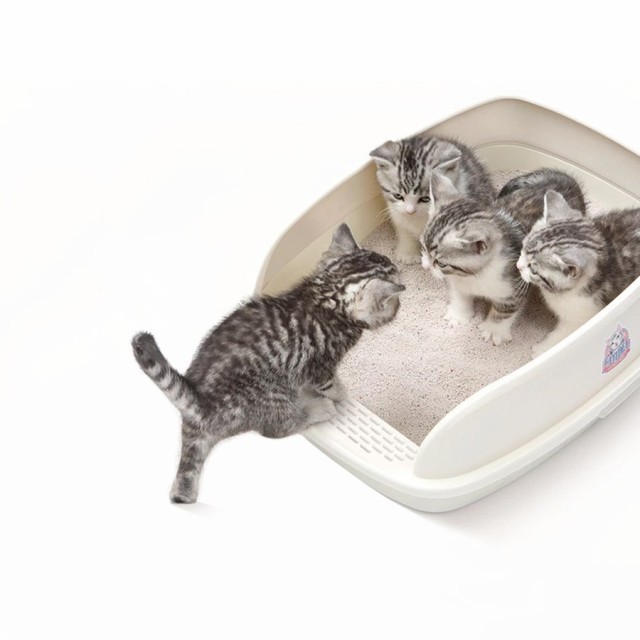 猫 トイレ 丸洗い 猫砂の人気商品 通販 価格比較 価格 Com 猫 トイレ 丸洗い 猫砂の人気商品 通販 価格比較 価格 Com