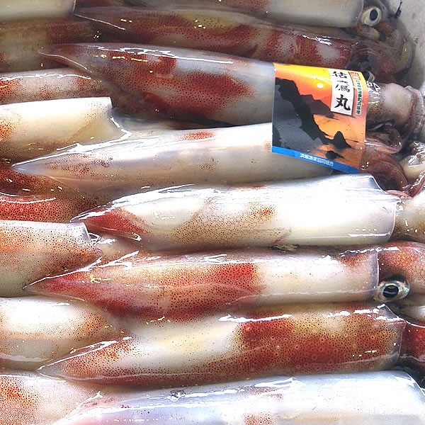 白 イカ 刺身の人気商品 通販 価格比較 価格 Com
