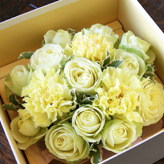 薔薇 鉢植え プレゼントの人気商品 通販 価格比較 価格 Com