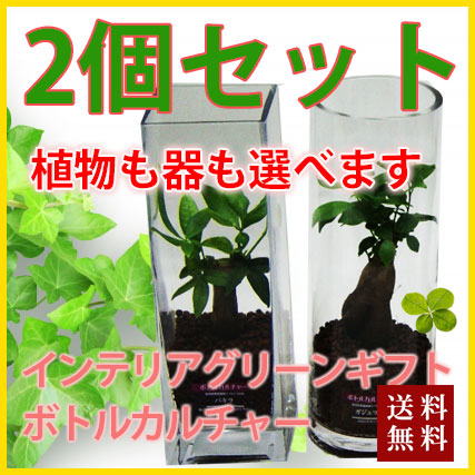 ハイドロ ボトル 観葉植物の人気商品 通販 価格比較 価格 Com