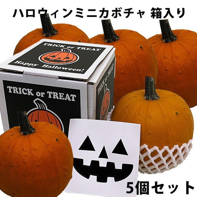 ハロウィン ハロウィン かぼちゃ おもちゃの人気商品 通販 価格比較 価格 Com