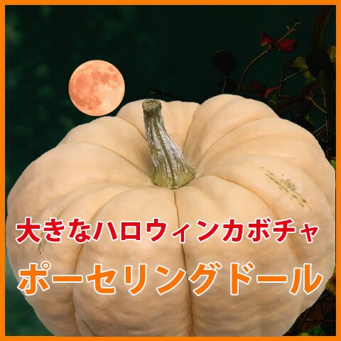 ハロウィン ハロウィン かぼちゃの人気商品 通販 価格比較 価格 Com