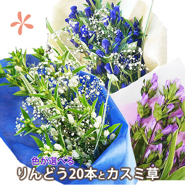 生花 りんどうの人気商品 通販 価格比較 価格 Com