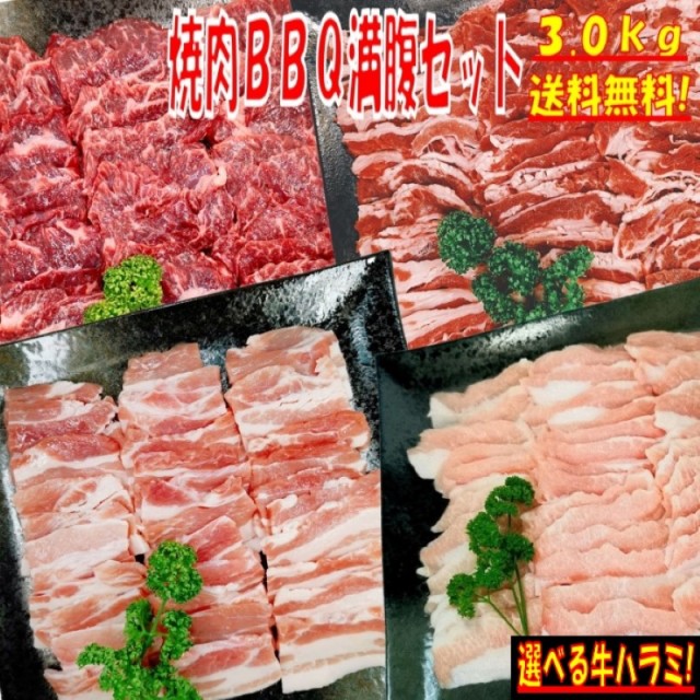 ハラミ 肉の人気商品 通販 価格比較 価格 Com