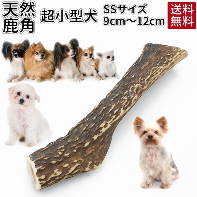 犬 おもちゃ 鹿の角の人気商品 通販 価格比較 価格 Com