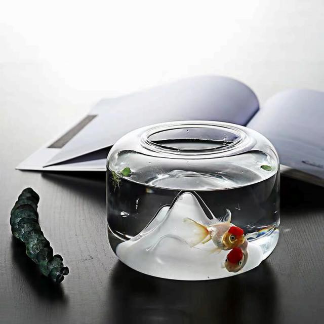 メダカ 水槽 金魚鉢 ガラスの人気商品 通販 価格比較 価格 Com