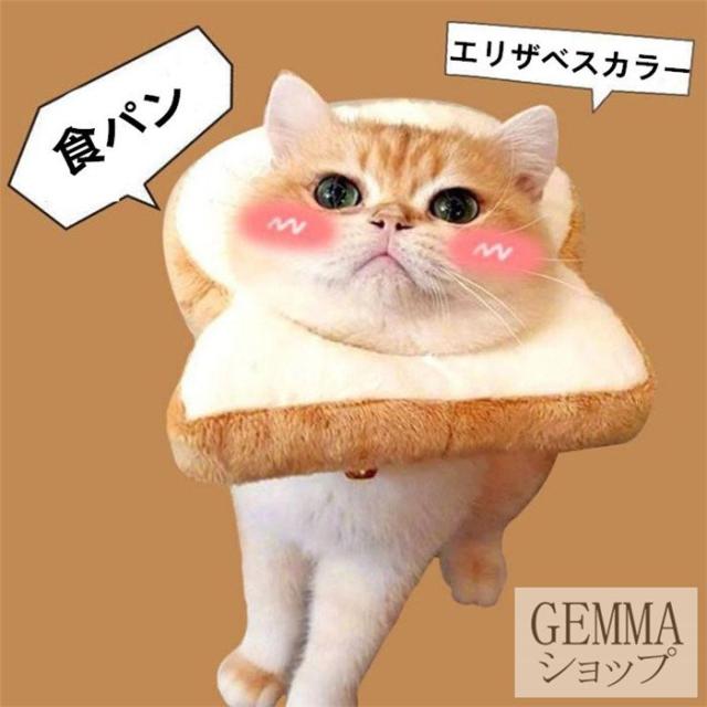 エリザベスカラー 犬 しつけグッズの人気商品 通販 価格比較 価格 Com