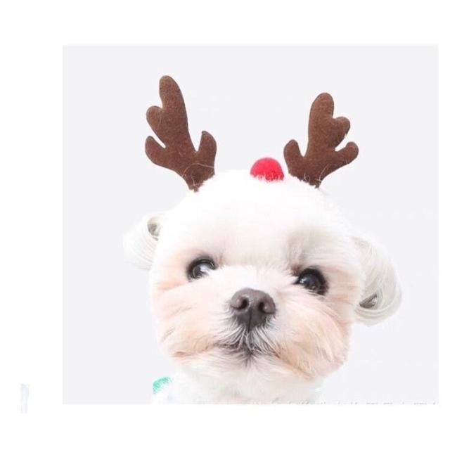 犬 コスチューム ベビー キッズの人気商品 通販 価格比較 価格 Com