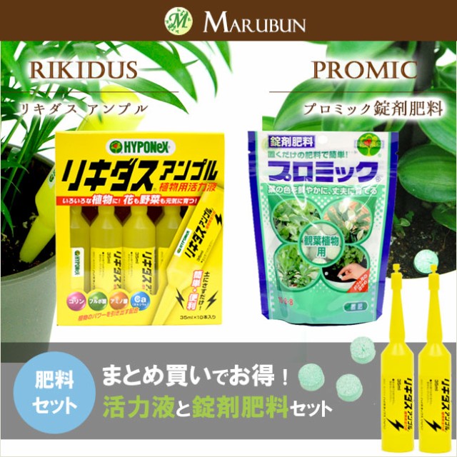 ハイポネックス 観葉植物の人気商品 通販 価格比較 価格 Com