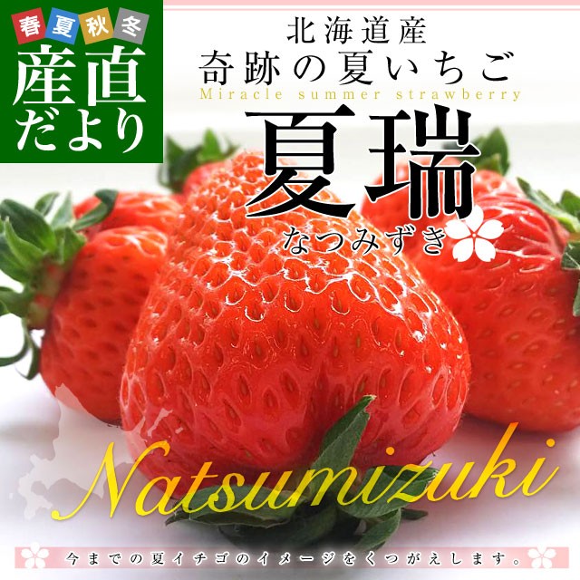 イチゴ 種 いちごの人気商品 通販 価格比較 価格 Com